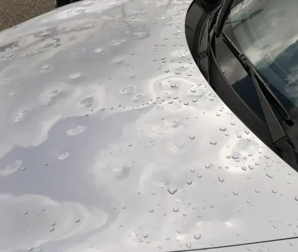 Hail Damage Repair Josephine TX example showing a silver car hood covered in hail dents and water droplets before repair
